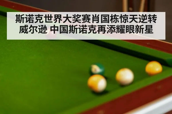 斯诺克世界大奖赛肖国栋惊天逆转威尔逊 中国斯诺克再添耀眼新星